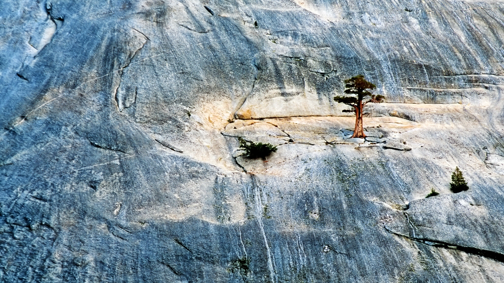 DIA_USA2002_142 1080.jpg - Yosemite National Park
